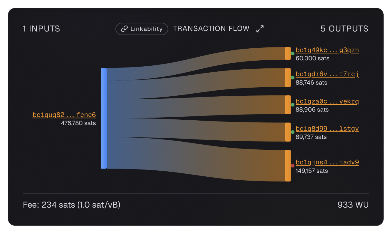 Batch payment transaction scanned by am-i.exposed
